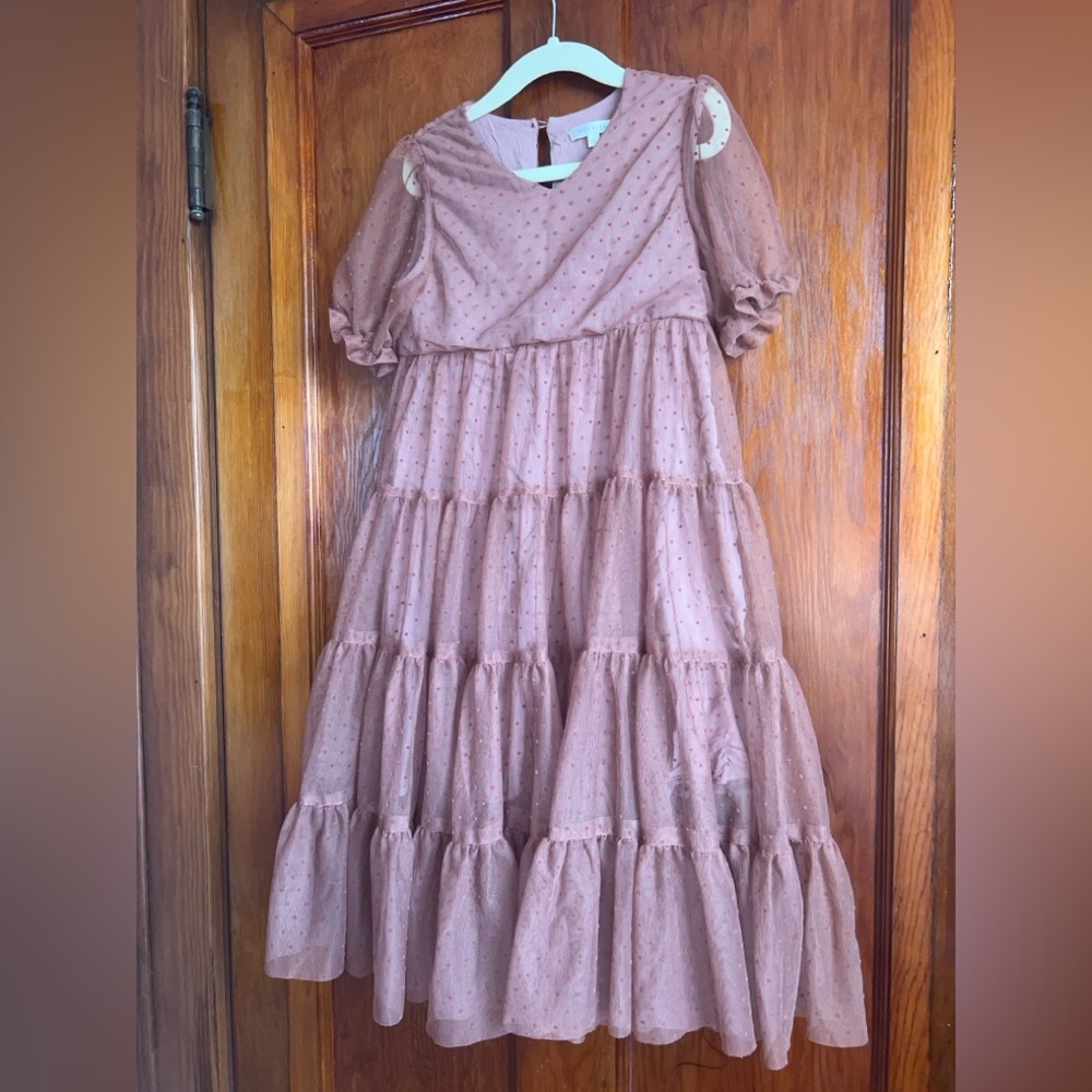 Noralee size 6 mauve Swiss dot Dress